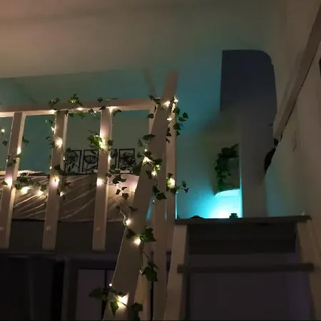 Jungleroom Connecte ! Au Coeur Du Vieux דירה ניס