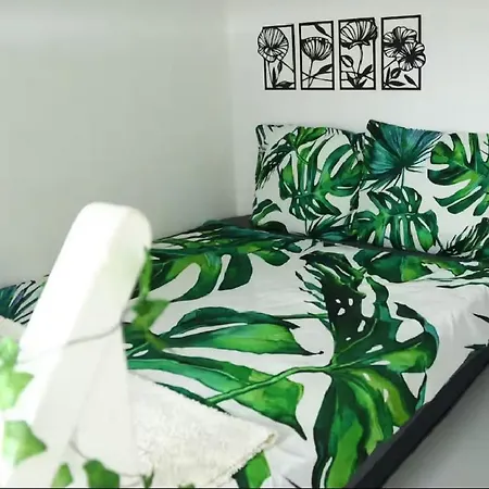 Jungleroom Connecte ! Au Coeur Du Vieux דירה *