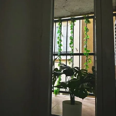 דירה Jungleroom Connecte ! Au Coeur Du Vieux *